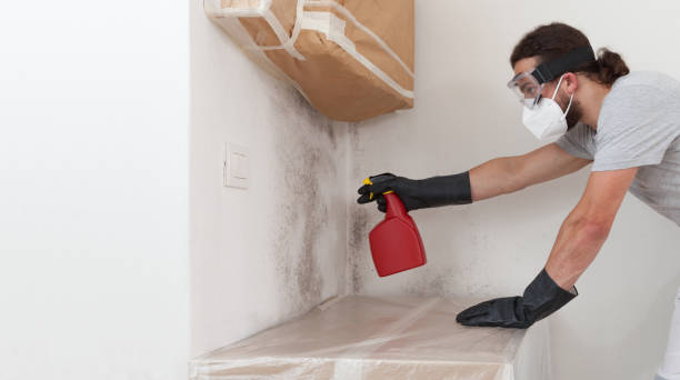 Professional Basement Mold Remediation technician working in Locust Hill, VA